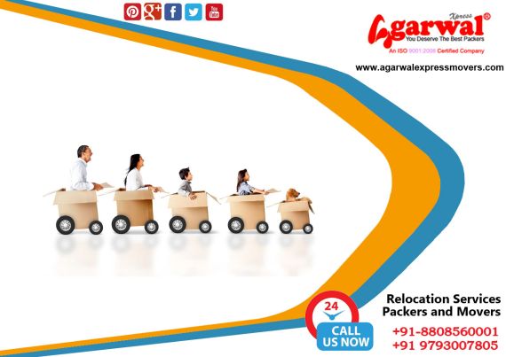 Packing and Moving Solutions in Bangalore